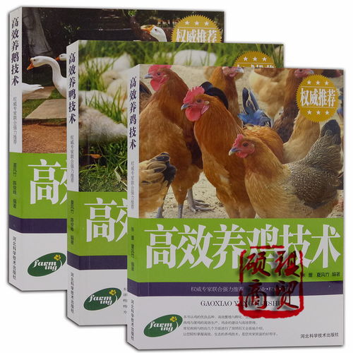 “高效養禽技術與生態飼養之全攻略”,
